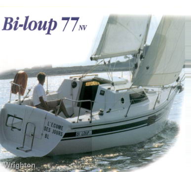 Bi-Loup 77 NV - Photo 6