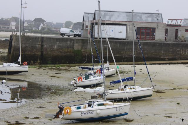 Blue Djinn - Photo 12