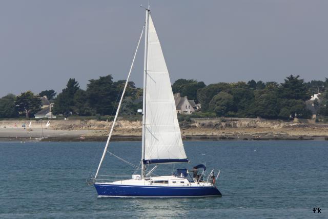 Feeling 356 - Photo 4