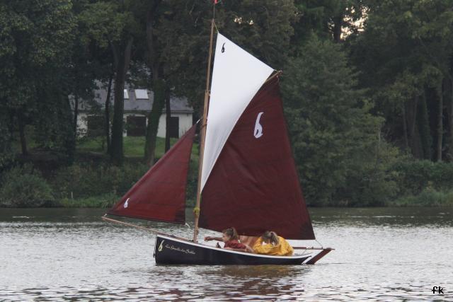 Gazelle des sables - Photo 6