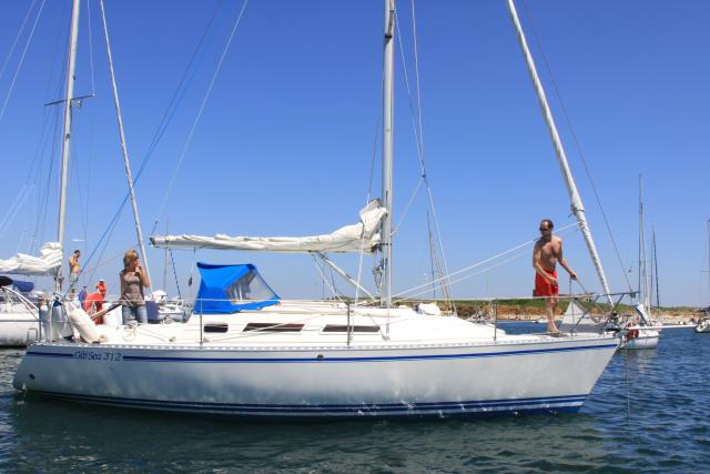 Gib'Sea 312 - Photo 6