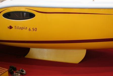 Tilapia - Photo 4