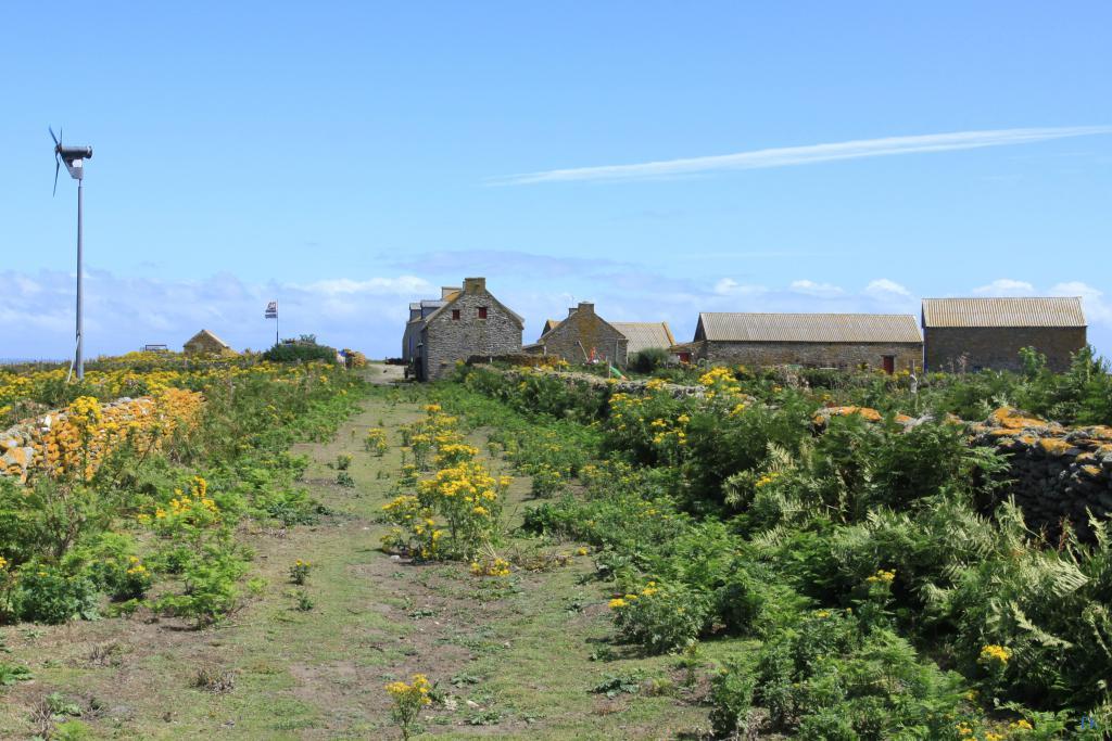 Sur l’île de Quéménès Sur l’île de Quéménès