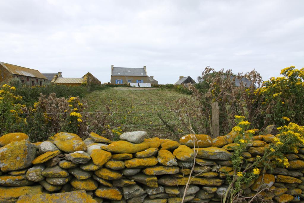 Sur l’île de Quéménès Sur l’île de Quéménès